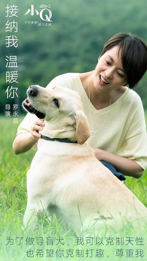 台湾人驾驶证6年到期怎么换证